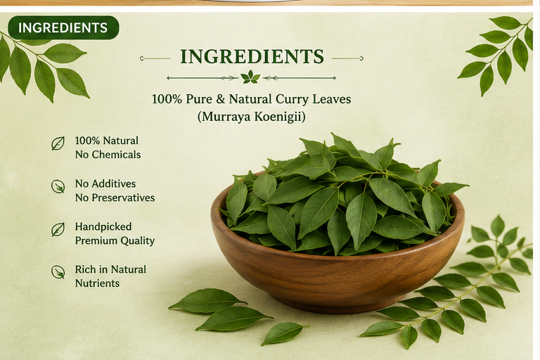 Curry Leaves (100g) - Image 4